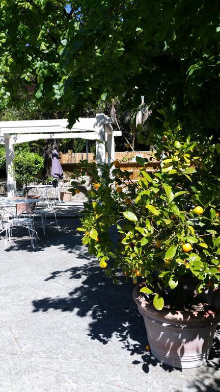 Le Clos Du Loup La Colle-sur-Loup Kültér fotó